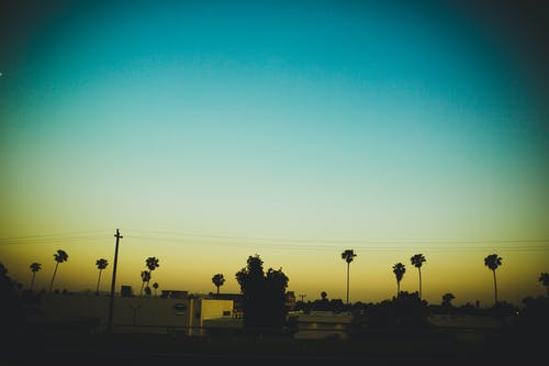 念奴嬌·炎精中否原文及賞析