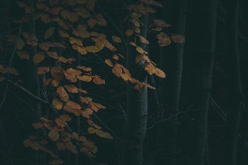 華與華方法讀后感摘抄