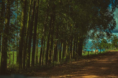 瑯琊榜經(jīng)典臺詞大全