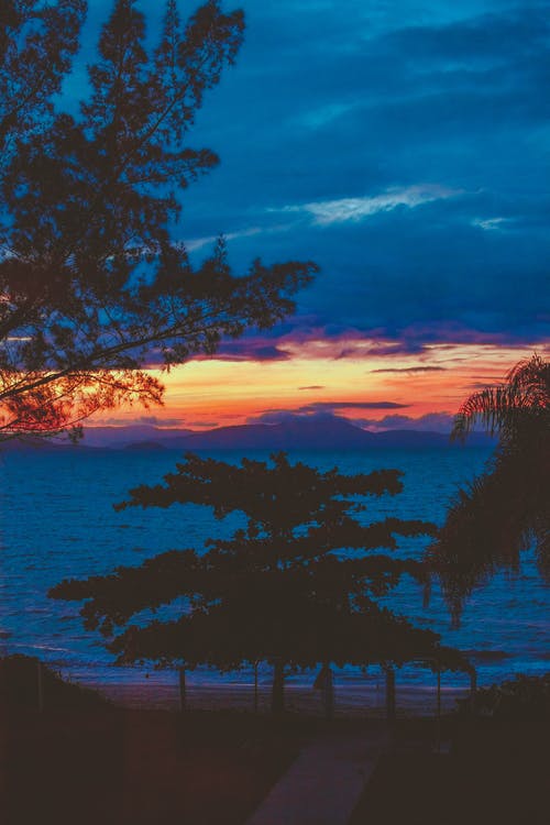 誤打誤撞成為劍修六界三道小說(shuō)葉辰姬凝霜章節(jié)閱讀