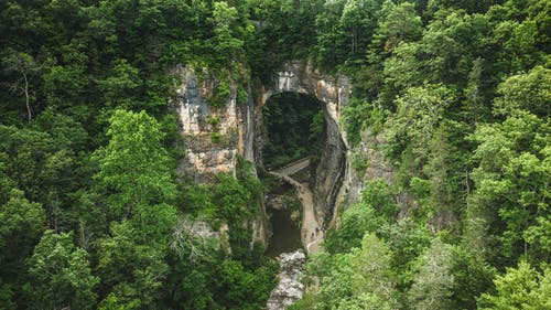 關(guān)于冬至節(jié)的古詩