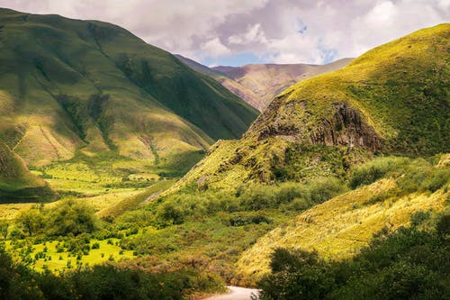 中考文言文木蘭詩(shī)答案