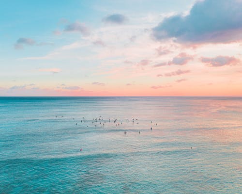 品味詩(shī)歌，真有趣