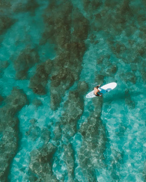 有趣的春節(jié)日記(通用6篇) 有趣的春節(jié)日記(通用6篇)