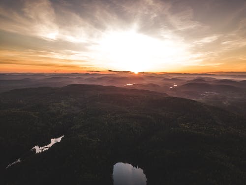 坦腹東床文言文翻譯