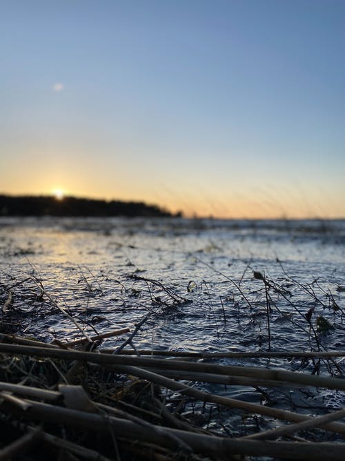 【必備】心情日記范文集錦9篇