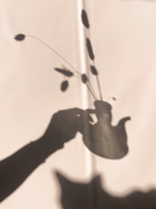 連載中踏破陰陽小說令狐子軒虎娃在線閱讀