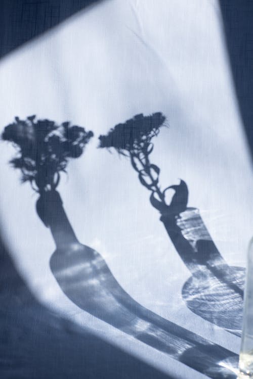 關(guān)于古詩作文四篇 關(guān)于古詩作文四篇