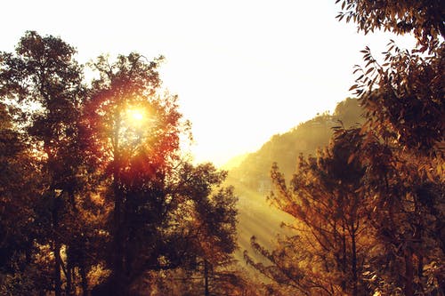 祝感恩節(jié)快樂(lè)的QQ祝福語(yǔ)匯總50條