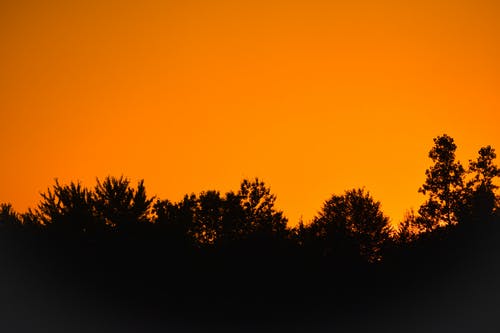 2020年六一兒童節(jié)詩歌