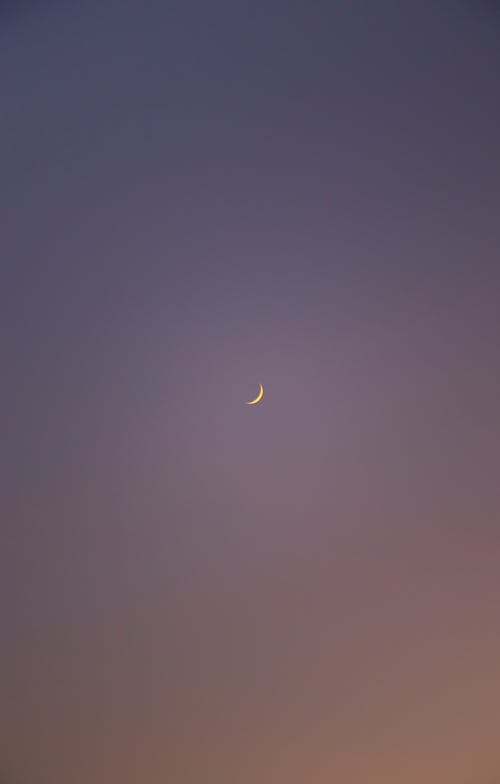 開(kāi)學(xué)第一周的日記4篇