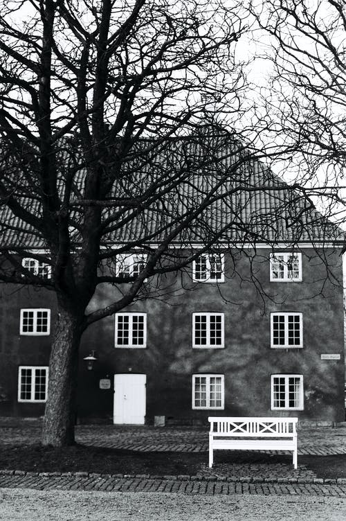 關(guān)于古詩(shī)作文集合7篇