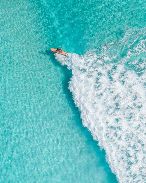 豪門少主小說(shuō)by逍遙命林飛江嵐無(wú)刪減閱讀