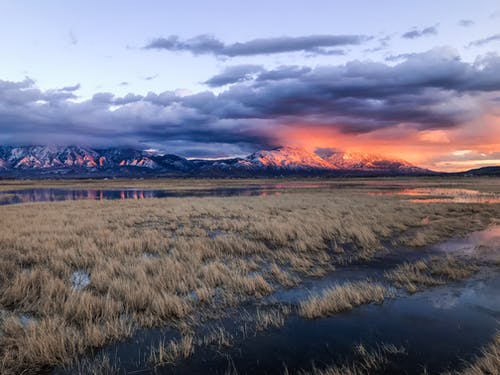 長(zhǎng)輩生日祝福語最新