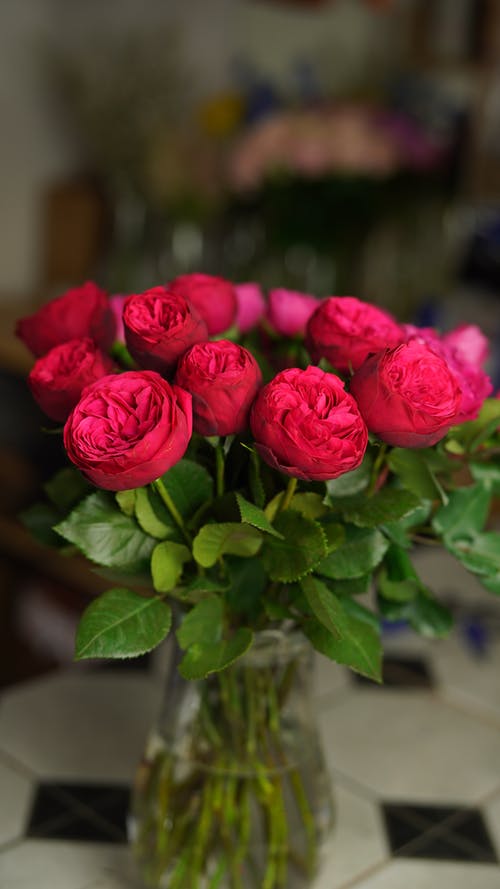 文言文翻譯：觀潮