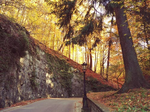 《冬夜讀書示子聿》譯文、注釋及鑒賞