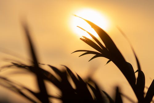 五年級寫人作文啰嗦的老媽