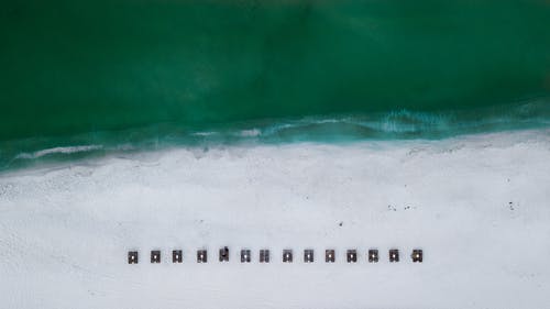 五年級(jí)童話寓言作文小鴨歷險(xiǎn)記