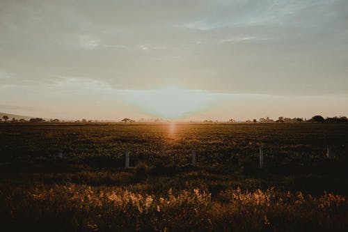 對牛彈琴的文言文寓意