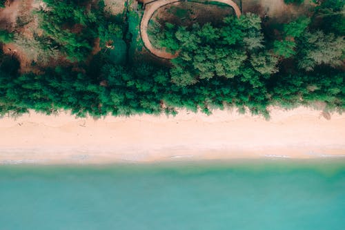 滿江紅·豫章滕王閣原文及賞析