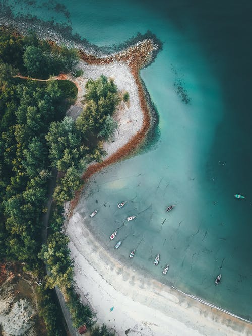 五年級(jí)期末考試作文我喜歡蘭花（二）