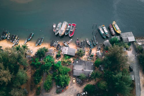 初中生寒假日記250字