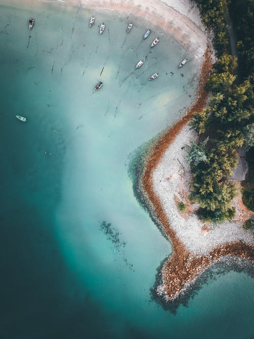 五年級(jí)散文一縷秋天的光