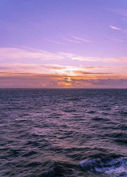 總結(jié)開學(xué)第一周的日記