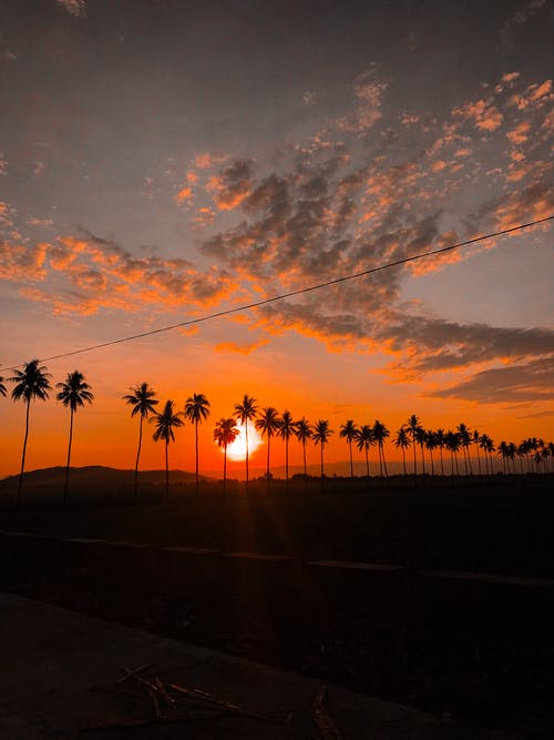 關(guān)于高中周記青春勵(lì)志集合九篇