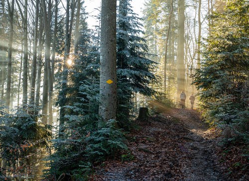 2021年小暑祝福問(wèn)候語(yǔ)匯編48句 2021年小暑祝福問(wèn)候語(yǔ)匯編48句