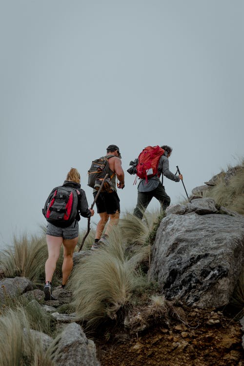 念奴嬌·痛悼余旭