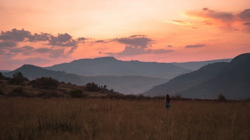 四個世界著名的教育法則勵志教育