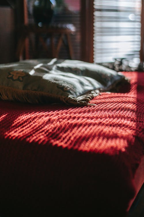 人教版五年級下冊八單元作文最美的風景