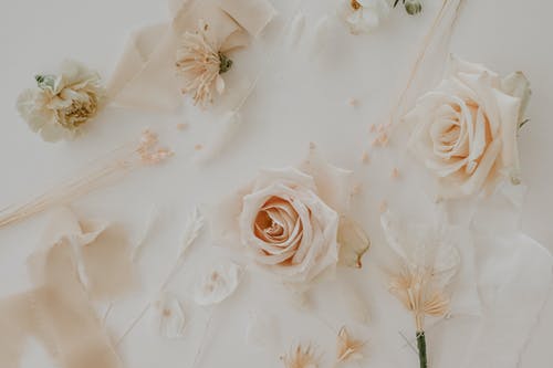 超級至尊狂爸小說陳立謝君婉免廣告閱讀