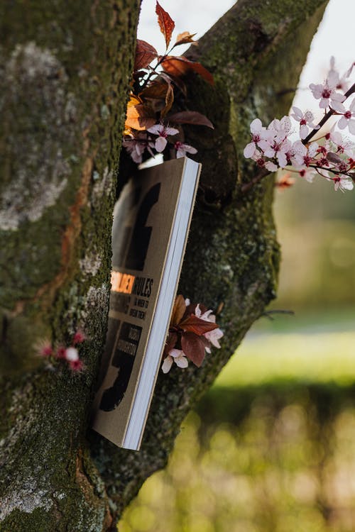 趙普文言文翻譯