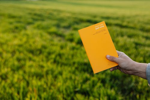 《于易水送人》原文及翻譯賞析