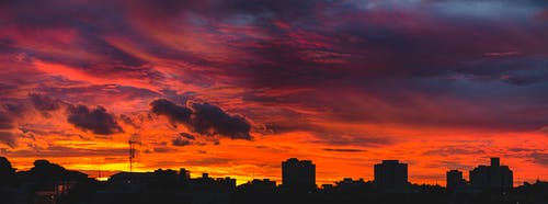 你的凜神戀愛小說夏霜霜紀(jì)寒凜全章節(jié)閱讀