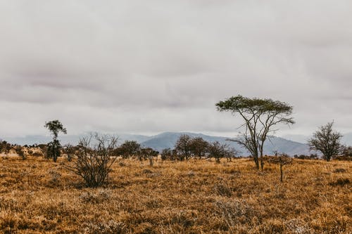 五年級想象作文現(xiàn)實與想象