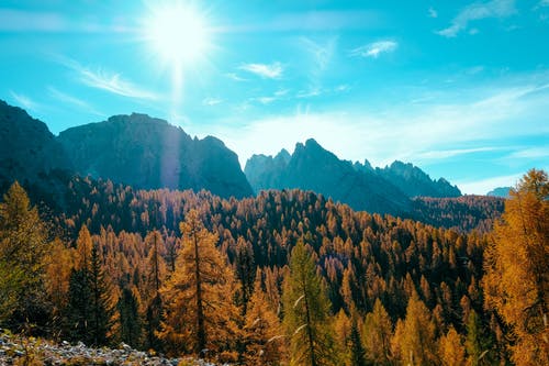 雙調(diào)·水仙子·居庸關(guān)中秋對月元曲賞析