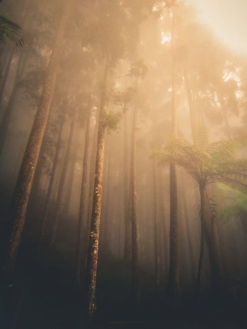 國慶中秋雙節(jié)祝福語