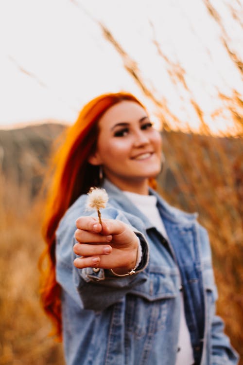 有關(guān)秋游日記范文集合5篇 有關(guān)秋游日記范文集合5篇