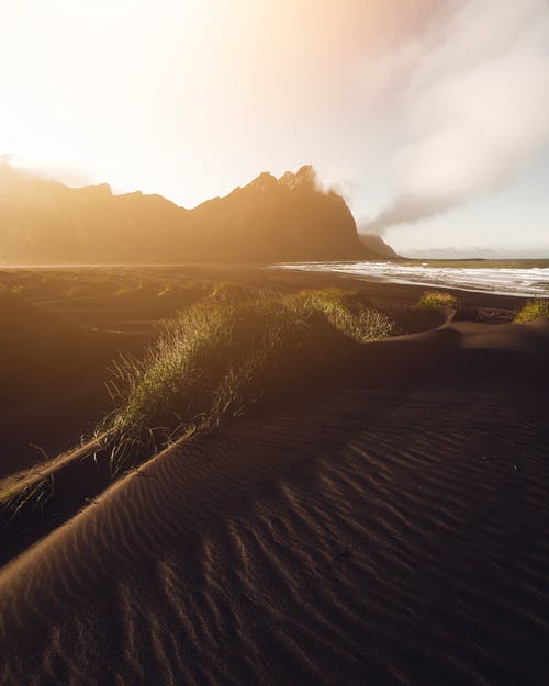 你若懂得，歲月自會靜好美文