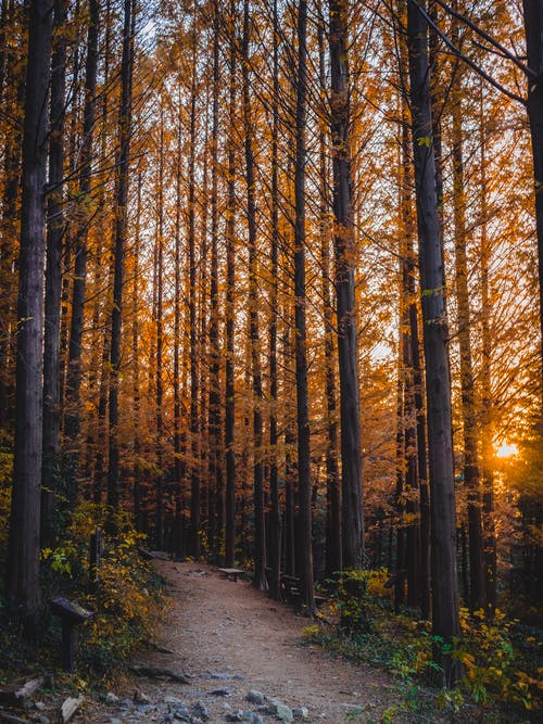 《泰迪熊之玩具大戰(zhàn)》影評精選 《泰迪熊之玩具大戰(zhàn)》影評精選