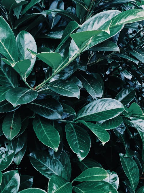 有關小學三年級日記模板10篇