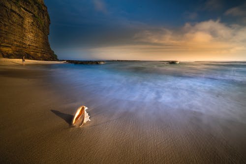 五年級狀物作文竹