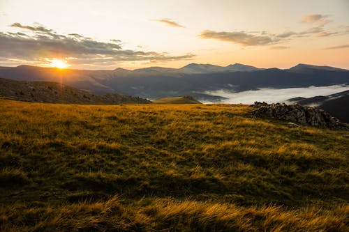 五年級想象作文多功能智慧機器人-