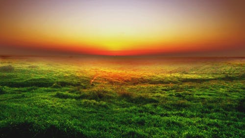 大魚海棠經(jīng)典臺詞（精選50句）