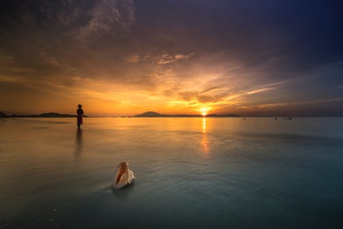 《念奴嬌鬧紅一舸》譯文及賞析