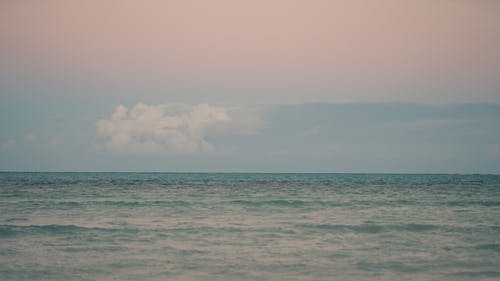 3.12植樹節(jié)祝福語大集合31條 3.12植樹節(jié)祝福語大集合31條