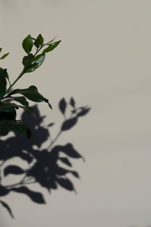 教師節(jié)贊美老師的詩歌（通用4首）